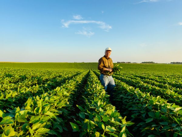 Soya bean drought creates winners and losers | World Finance