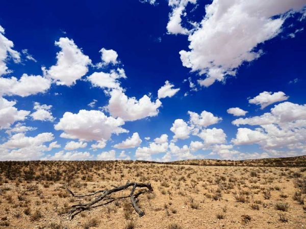 droughts-in-argentina-and-south-africa-highlight-the-economic